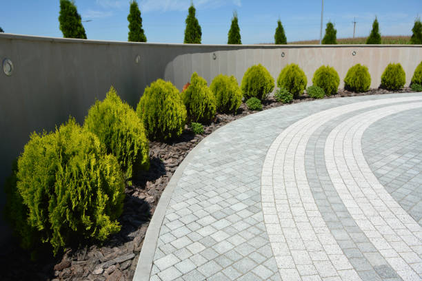 Best Cobblestone Driveway Pavers  in St Joseph, MN